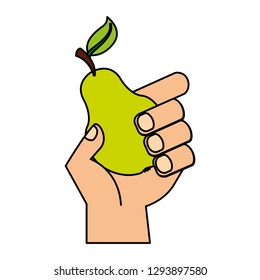 hand holding pear fresh food