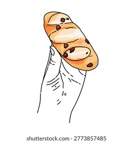 a hand holding a piece of delicious roasted bagel bread with chocolate chips. Food pastry for breakfast