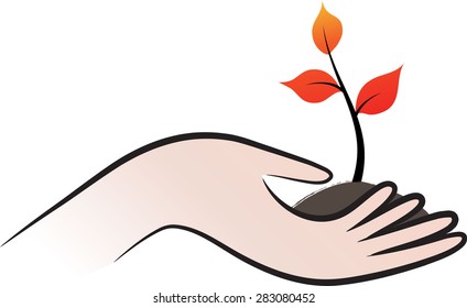 hand holding a plant