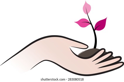 hand holding a plant