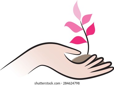 hand holding a plant