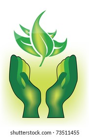 hand holding a plant