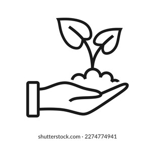 Hand holding plant with leaves.