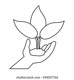 hand holding plant leaves thin line