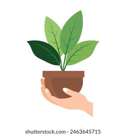 Mano sosteniendo la Ilustración vectorial de la maceta de la planta, mano llevando la maceta, manos levantando una plántula verde
