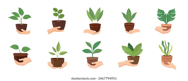 Hand holding plant pot vector illustration set, hands carrying flower pot, hand bring potted plant, flat icon design isolated on white background
