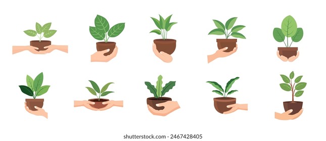 Hand holding plant vector illustration set, collection of hands carrying flower pot isolated on white background, hand carry plant pot image, hand bring potted plant
