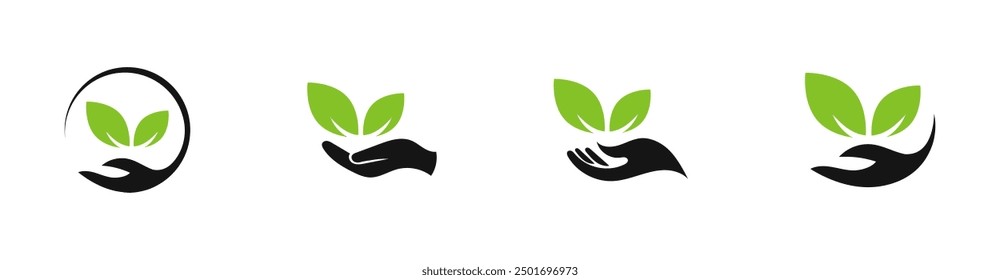 Mano que sostiene el logotipo del Vector de la planta fijado. Hojas en la colección del logotipo de la palma.