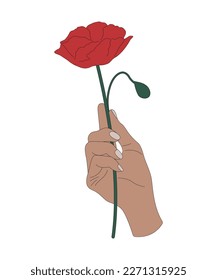 Hand holding poppy. Floral. Stylish decorative design. Blooming flowers. Romantic present for a loved one. Elegant woman hand isolated. For postcards, print, sticker