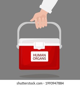 Hand Holding Portable Fridge For Transporting Donor Humans Organs. Red Cooler Shipping Box. Human Organ For Transplant And Healthcare Concept. Flat Vector Illustration On White Background