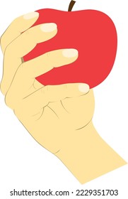 Hand holding red apple in vector graphic