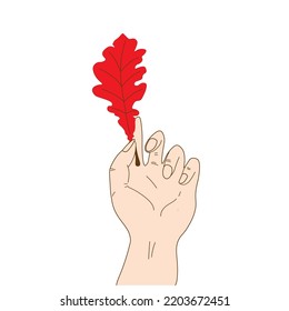 Hand holding red oak leaf. Autumn fallen leaf. Isolated in white background. For decoration autumn