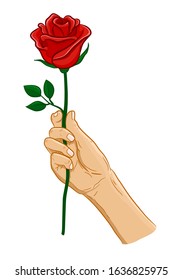 hand holding a red rose