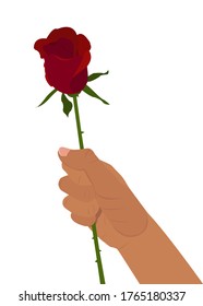 Hand holding a red rose isolated on white background. Element for your design