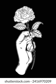 Hand Holding Rose Hand Drawn on Black Background