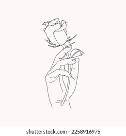 Hand holding Rose flower, Hand Drawn Illustration