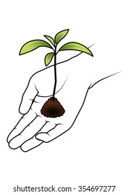 Hand holding a seedling.