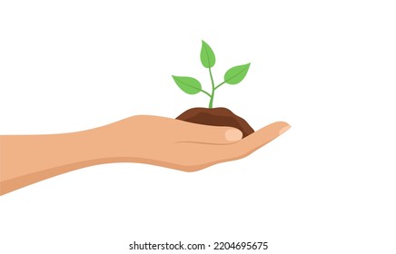 A hand holding a seedling in the soil, isolated on a white background. Flat vector illustration