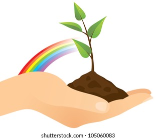 Hand holding a seedling tree. 