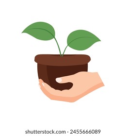 Mano sosteniendo la Ilustración vectorial de plántulas, Imagen de cuidado de plantas, mano llevando semillas de plantas, árbol Pequeño en la mano humana