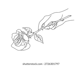 Mano que sostiene un solo tallo de rosa con hojas de flor