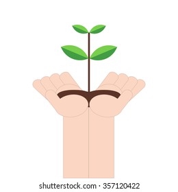 hand holding small tree on white background, vector illustration in flat design