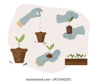 Hand holding small tree for planting. Home gardening. Set vector illustrations in flat cartoon doodle style.