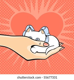 Hand holding a small white kitten