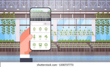 hand holding smartphone using smart control farming system mobile application organic hydroponic green plants row cultivation farm modern greenhouse interior horizontal