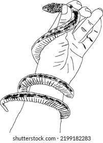 Hand, die eine Schlangenskizze hält, Schlangen-Design-T-Shirt-Bekleidungsdesign, Hand-Hand-Hand-Schlangen-Skizze-Zeichnung, Skizze-ZiehViper in Hand