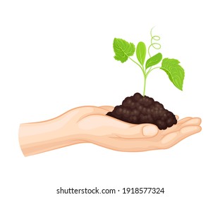 Hand Holding Soil with Young Plant or Sprout Growing in It Vector Illustration