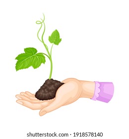 Hand Holding Soil with Young Plant or Sprout Growing in It Vector Illustration