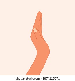 Hand holding something isolated on white background. Female or male open hands for product. Hand open palm for showing something front side. Hold something in the palm realistic vector illustration