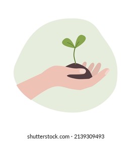 Hand holding a sprout. Concept of growth and ecological conservation. - Shutterstock ID 2139309493