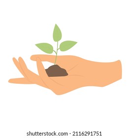 Hand holding a sprout with ground