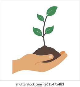 Hand Holding Sprout Nurturing New Life