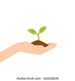 Hand holding sprout. Vector illustration isolated on white background