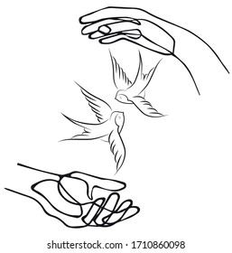 Mano, sujete, golondrina, pájaro, vector, ilustración