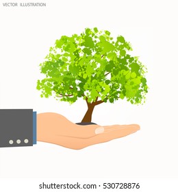 A hand holding a tree. The tree in the palm of your. The concept of ecology, to save the planet. Eco friendly. Vector illustration on white background. Modern design template. Blots