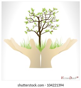 Hand holding a tree that show the growth your business. Vector illustration.