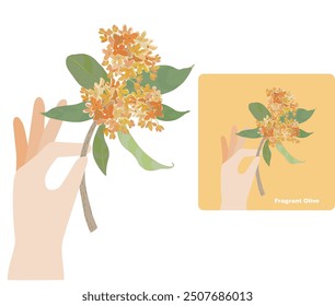 Hand holding a twig of osmanthus