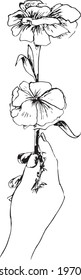 Hand holding two small flowers