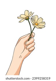 Hand holding two white flowers in isolation on white background