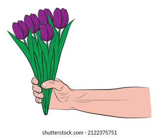Hand holding vector colorful bouquet for women. Violet tulip flowers present or surprise on human hand vector illustration. March 8. Woman's Day.