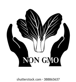 Hand holding Vegetable non GMO sign