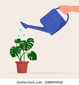 Hand holding watering can. Watering home plant in pot