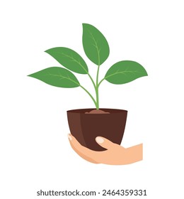 Hand holding young plant seed vector image, plant care concept flat illustration, hand carrying plant pot, small tree on human hand isolated on white