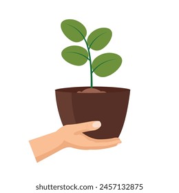 Hand holding  young tree, farmer brings plant seeds, cartoon human hand carrying a plant pot, flat icon vector illustration