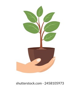 Hand hält einen jungen Baum in einem Topf, Hand trägt kleine Pflanzensprossen, Hand hebt einen Blumentopf