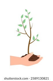 Hand holding a young tree. Vector illustration.